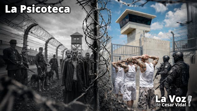 De Auschwitz a CECOT: NO es lo mismo ...