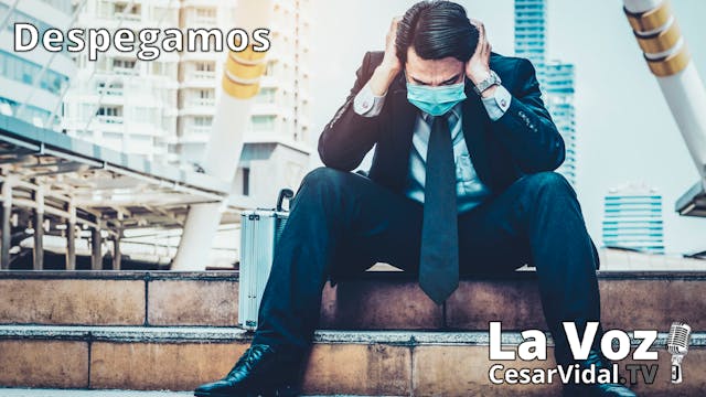 Golpe final a los autónomos, consulto...