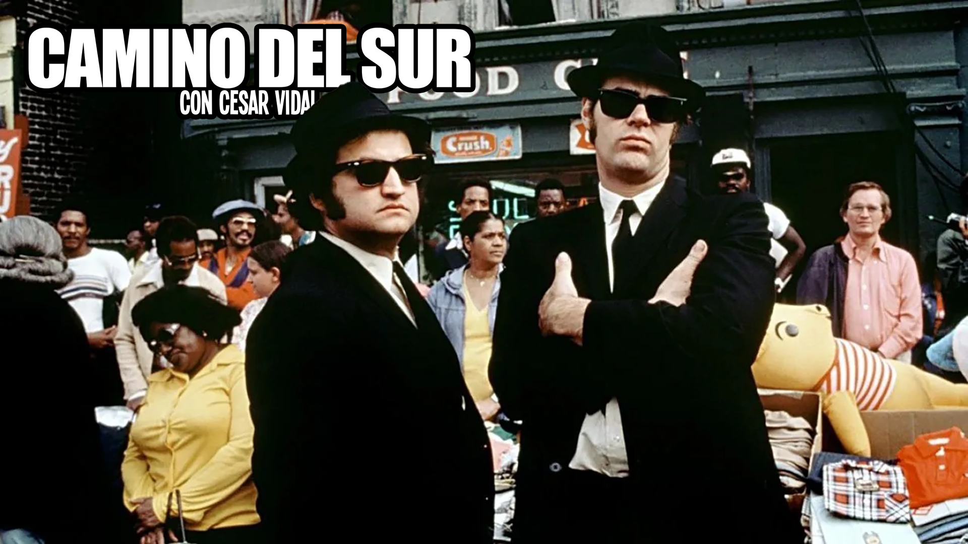 Camino del Sur - 19/11/23