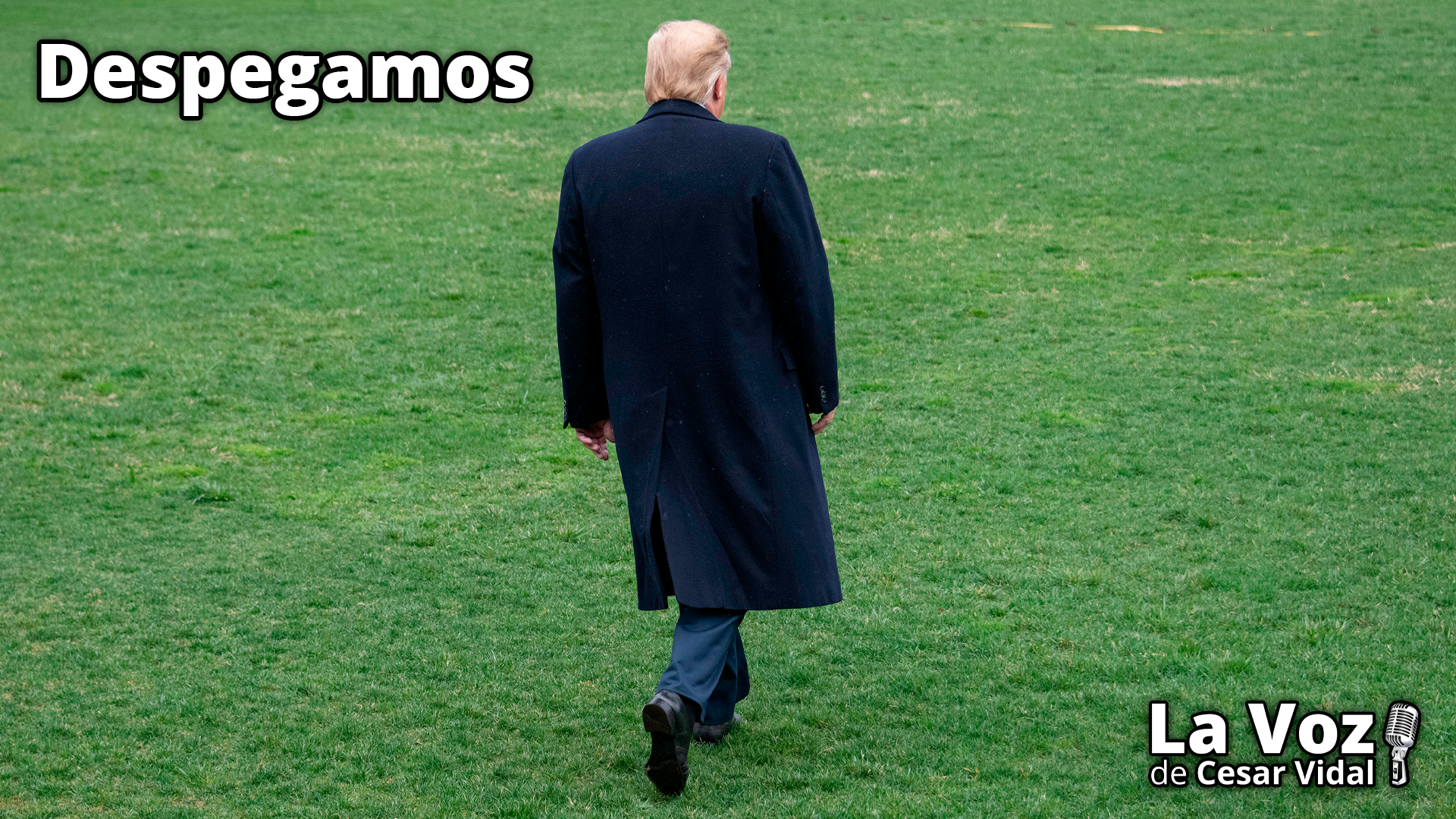 Golpe de Estado en la Casa Blanca: las claves oscuras de la guerra Musk-Trump