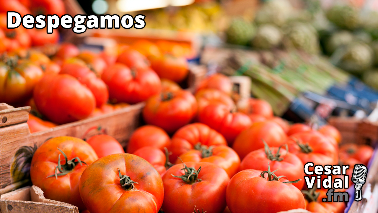 Alivio hipotecario, dictadura digital y rescates en España - 01/02/24