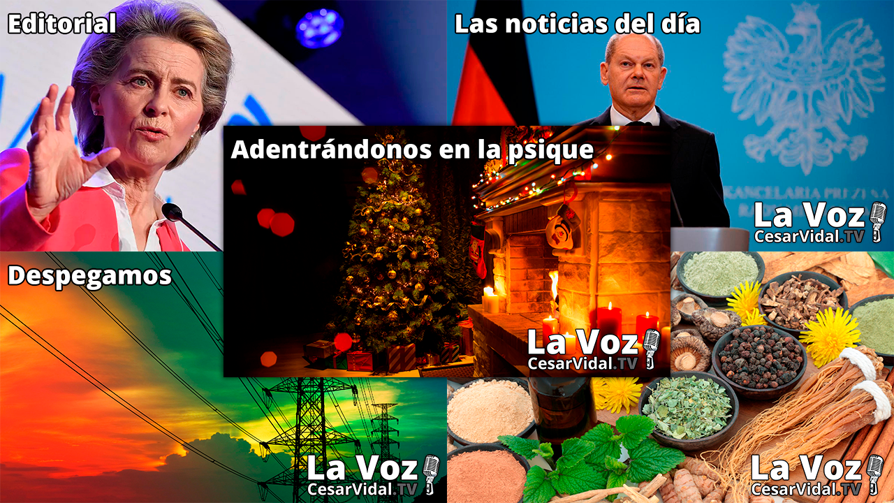 Programa Completo - 15/12/21