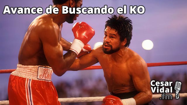 Avance de Buscando el KO - 22/03/24