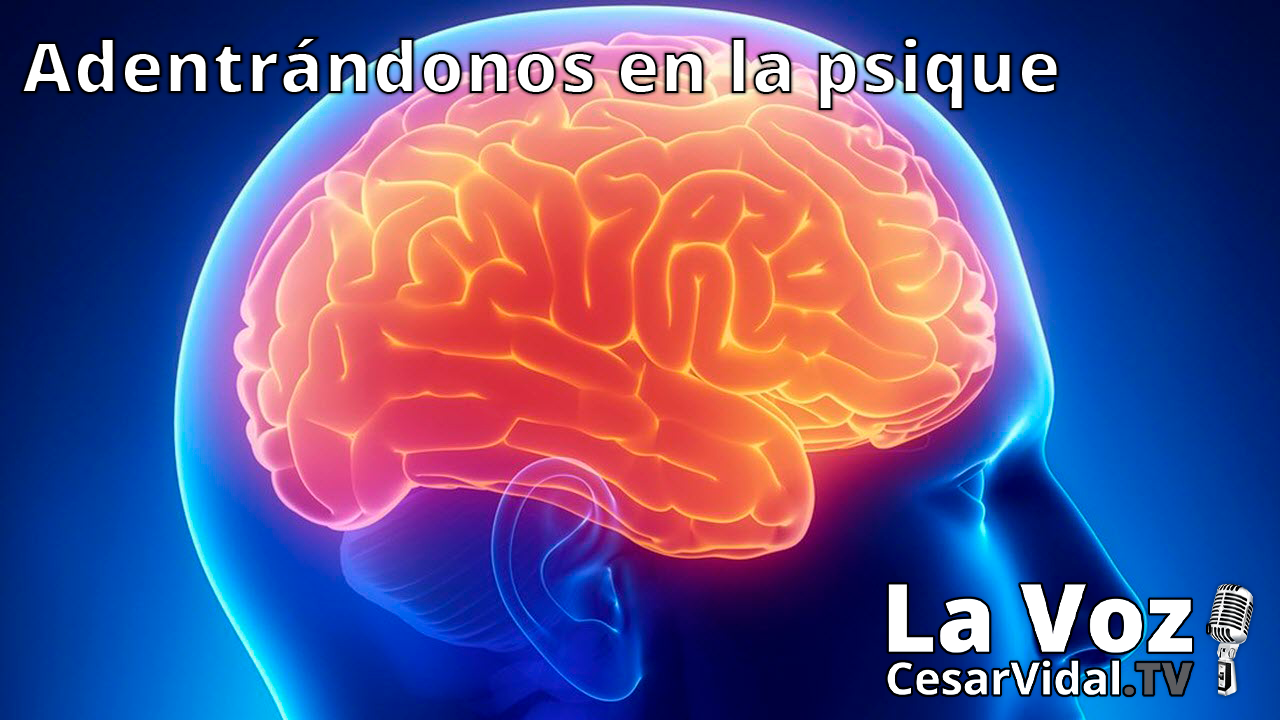 La neuropsicología de las emociones (3) - 27/01/21