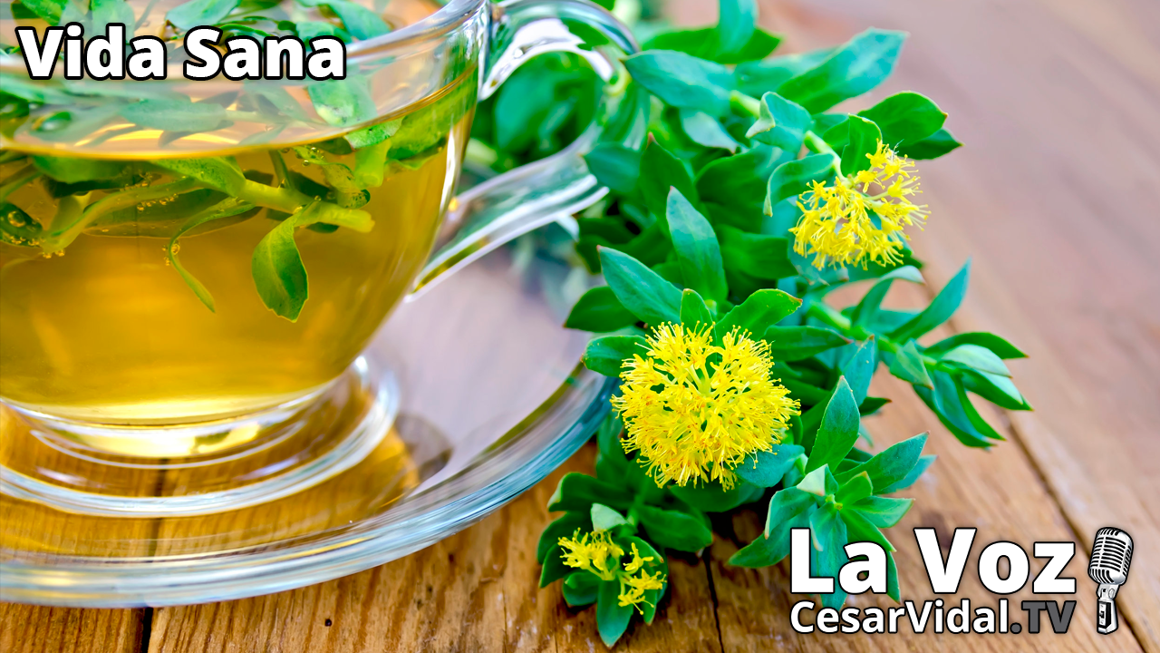 El tesoro de Siberia: La Raíz Dorada - 02/02/22