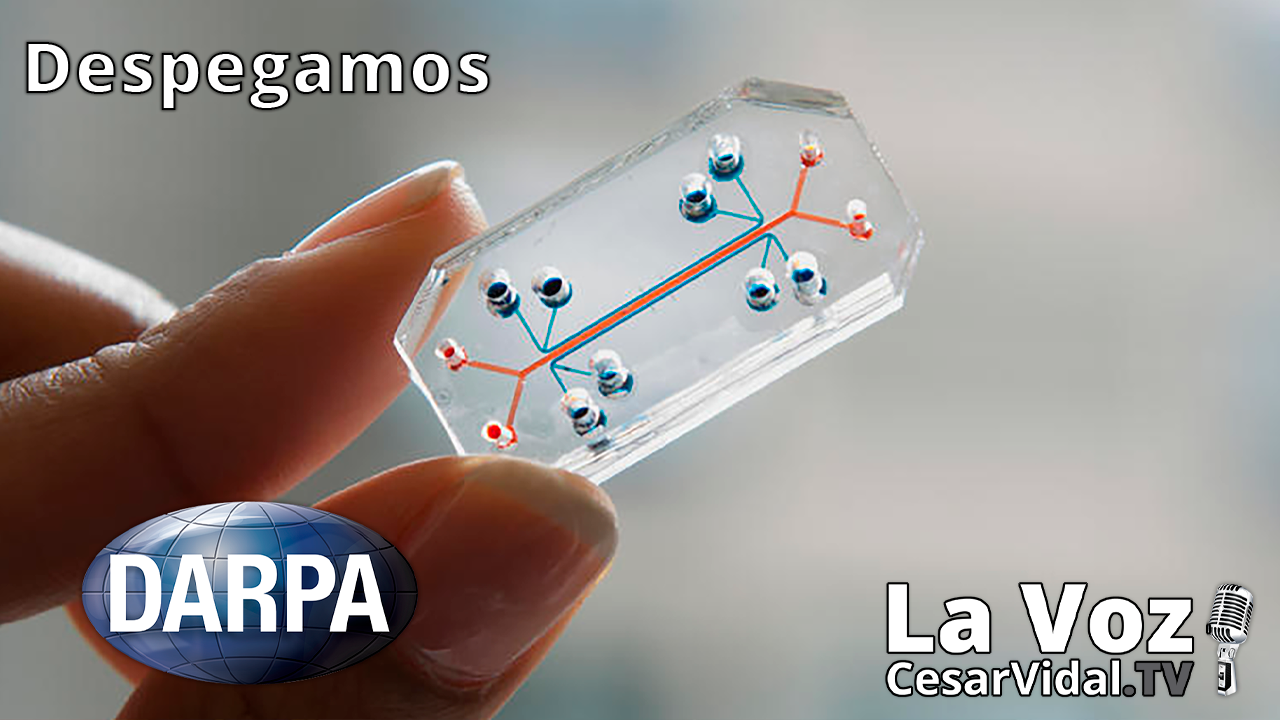 Pandemia permanente: el complejo militar-industrial gana la primera batalla