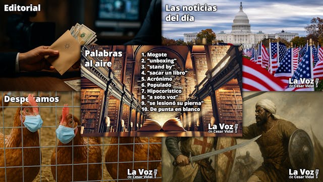 Programa Completo - 10/11/25