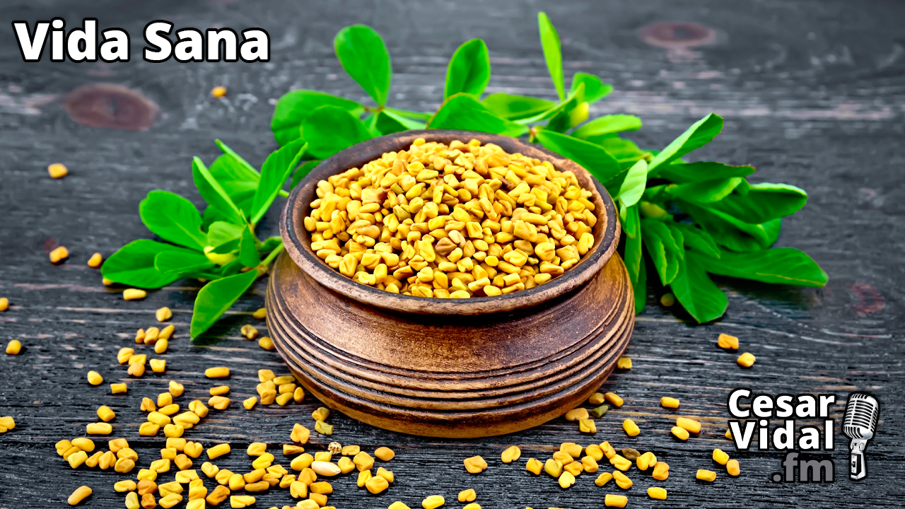 El Fenogreco - 12/10/22