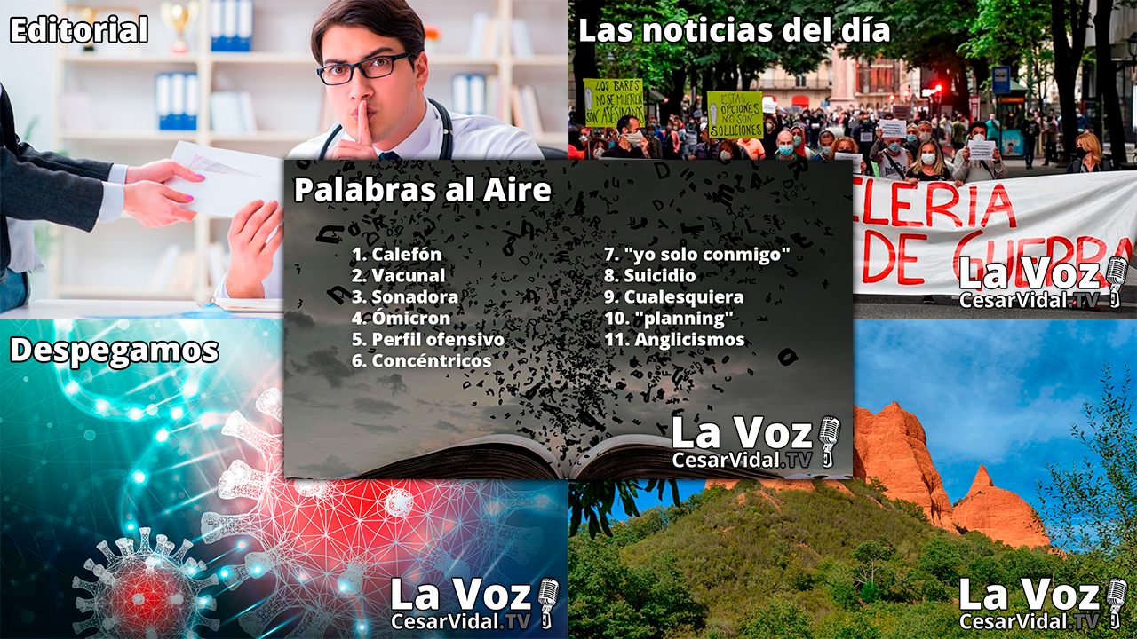 Programa Completo - 29/11/21