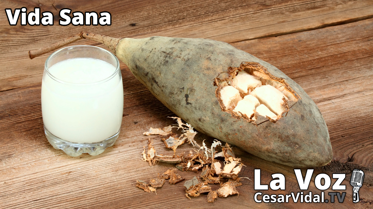 Propiedades de la fruta baobab o pan de mono: el superalimento africano - 08/06