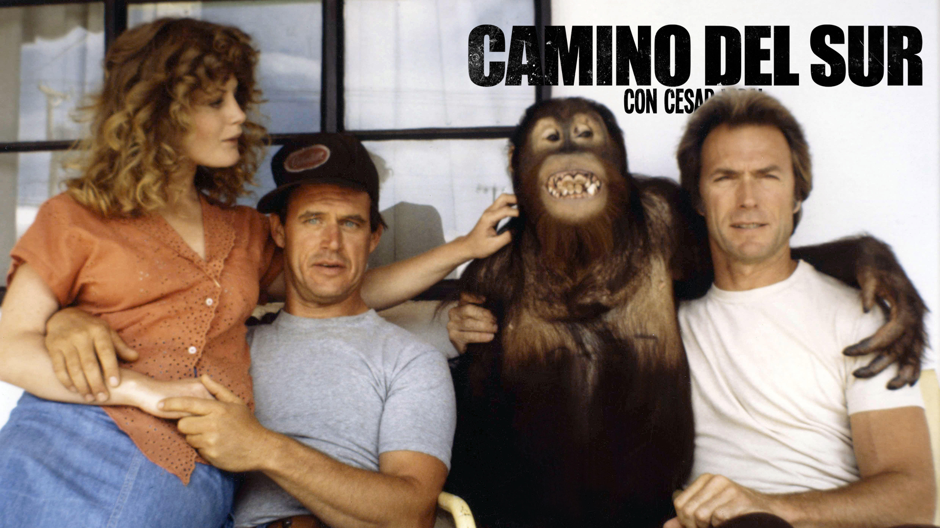 Camino del Sur - 13/07/25