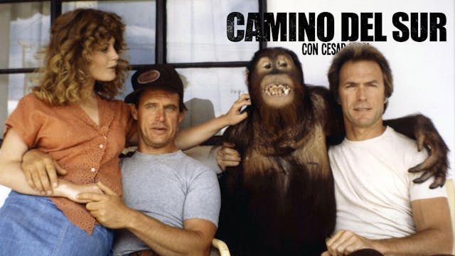 Camino del Sur - 13/07/25