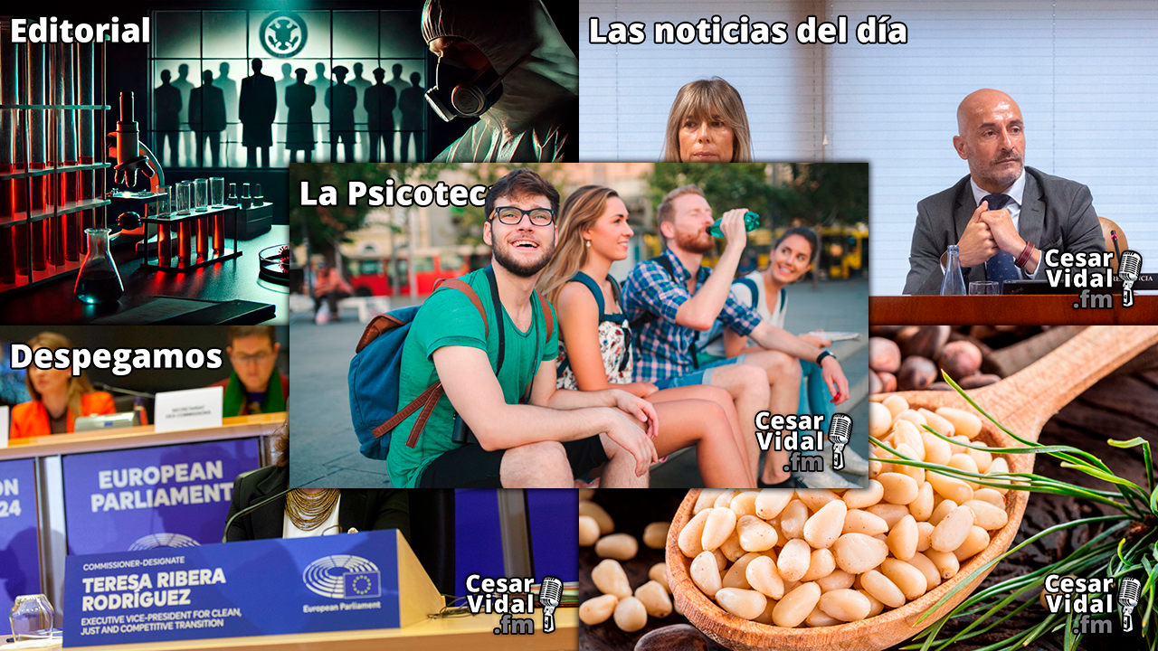 Programa Completo - 13/11/24