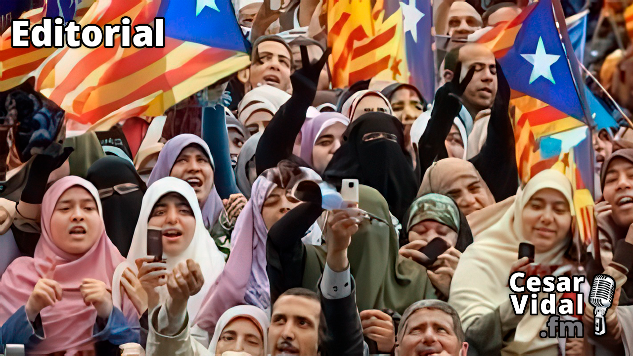 Más del 91% de las violaciones en Cataluña las cometen inmigrantes - 30/09/24