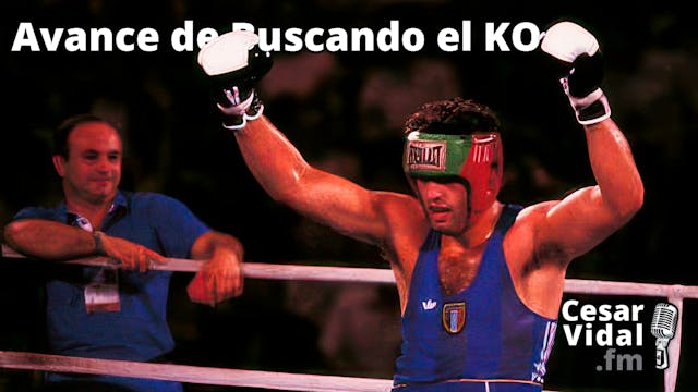 Avance de Buscando el KO - 11/10/24