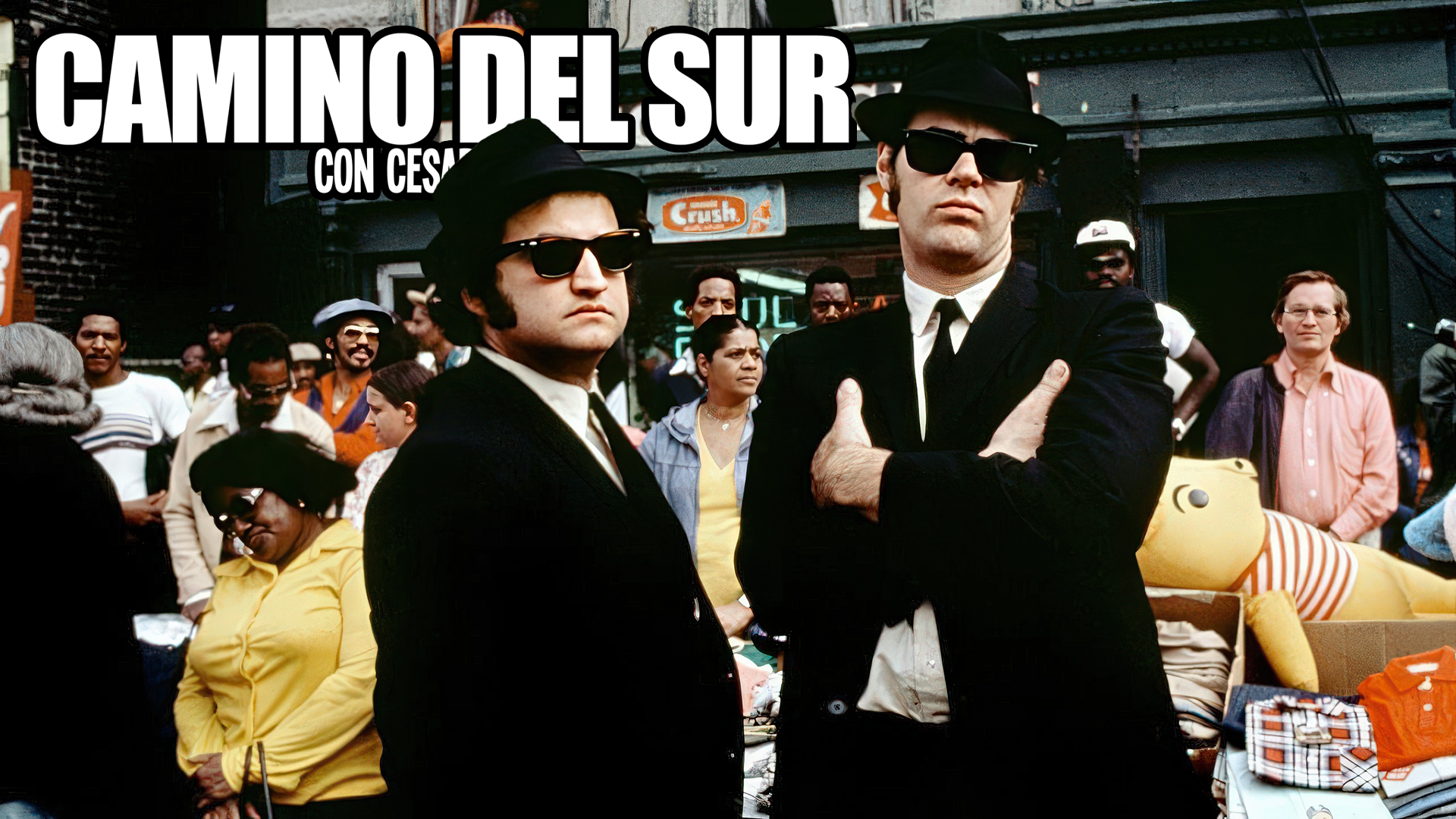 Camino del Sur - 13/10/24