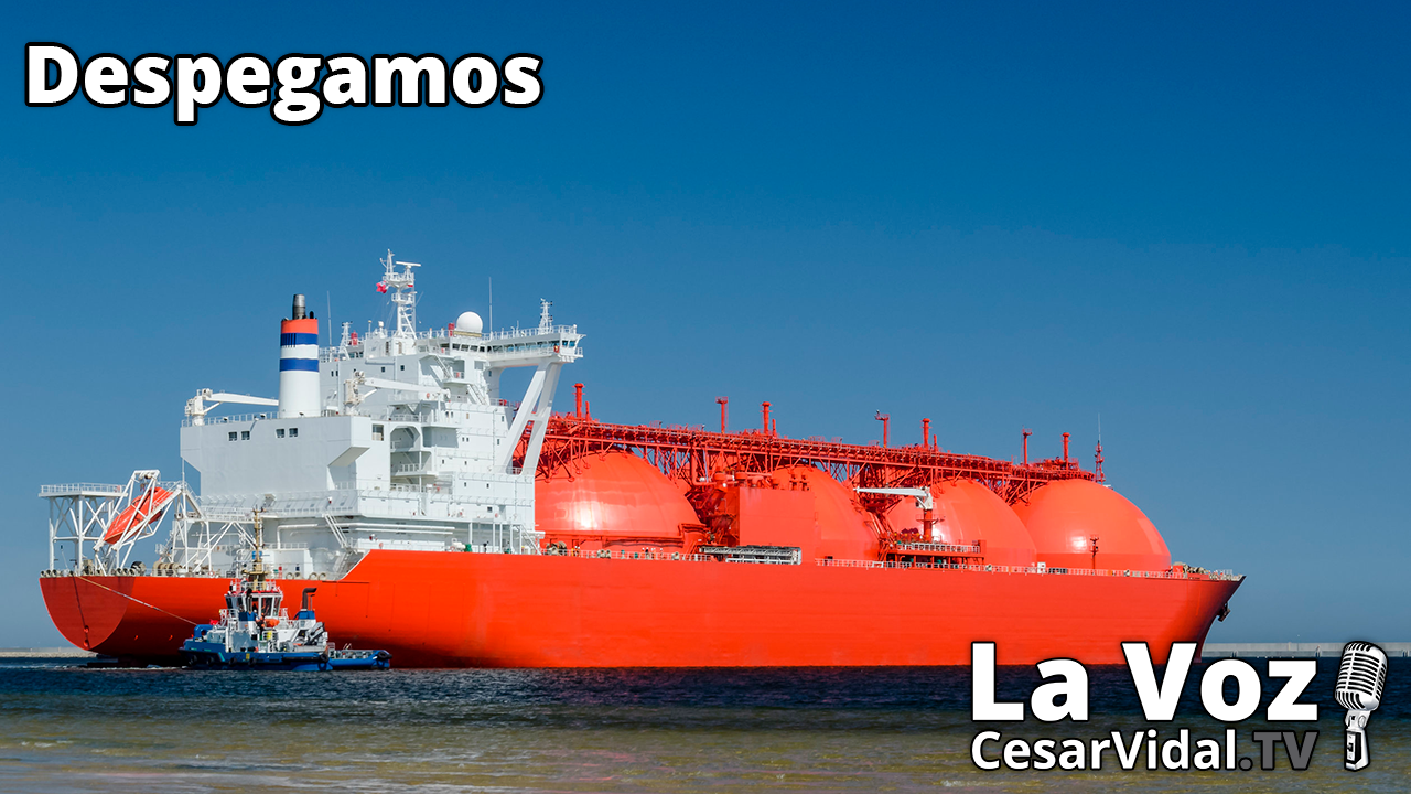 Los lobbies saquean, vuela ahorro familiar y los buques gasistas se van a Asia