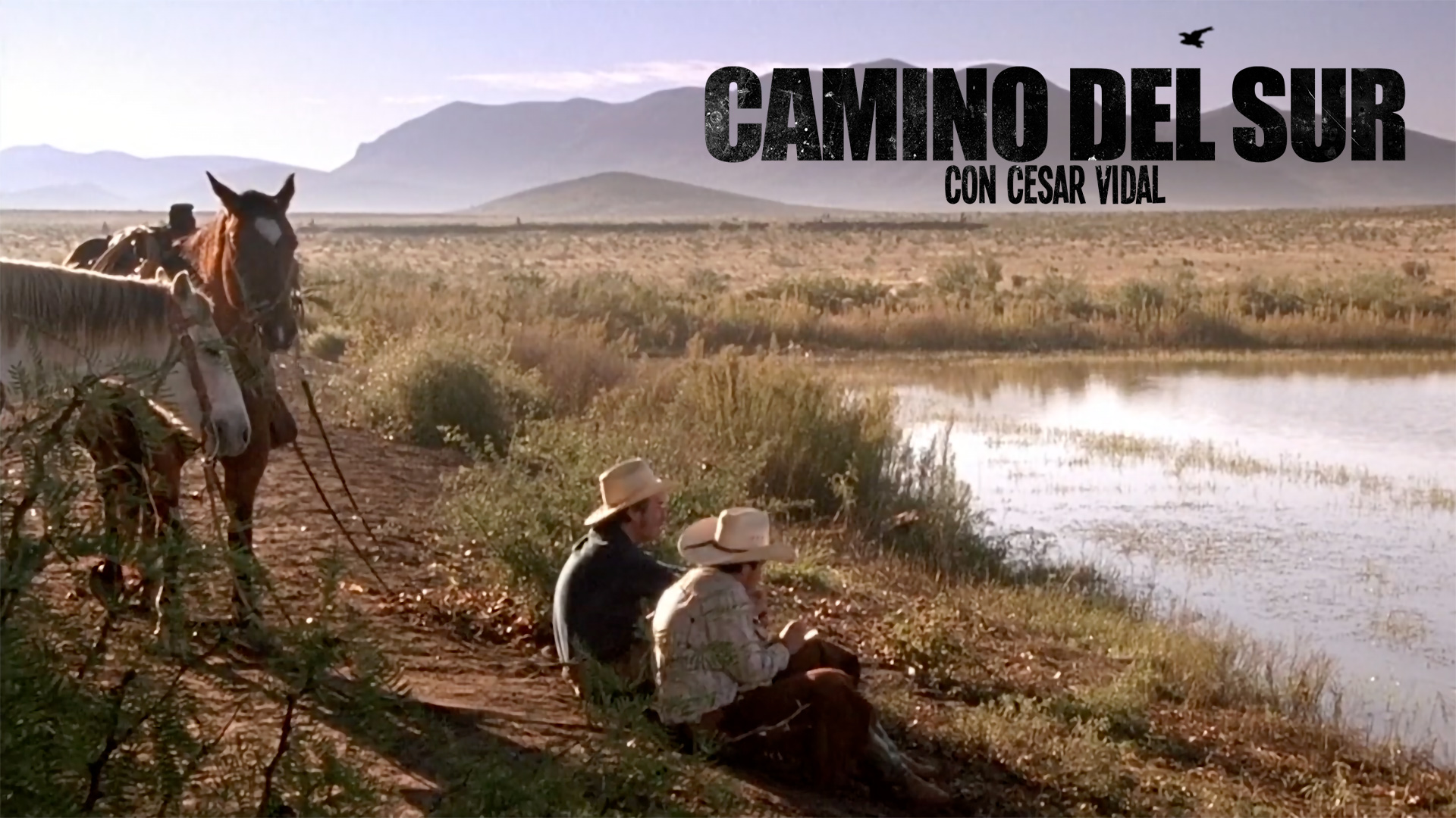 Camino del Sur - 11/07/21