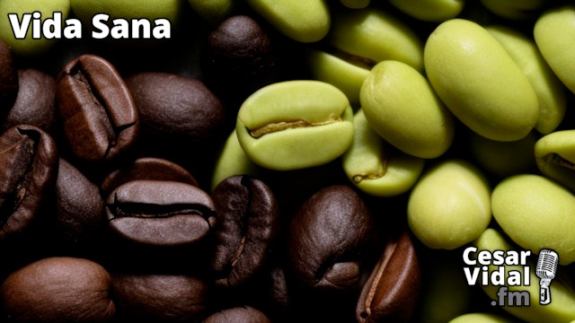 Diferencias entre el café verde y el café negro - 20/03/24