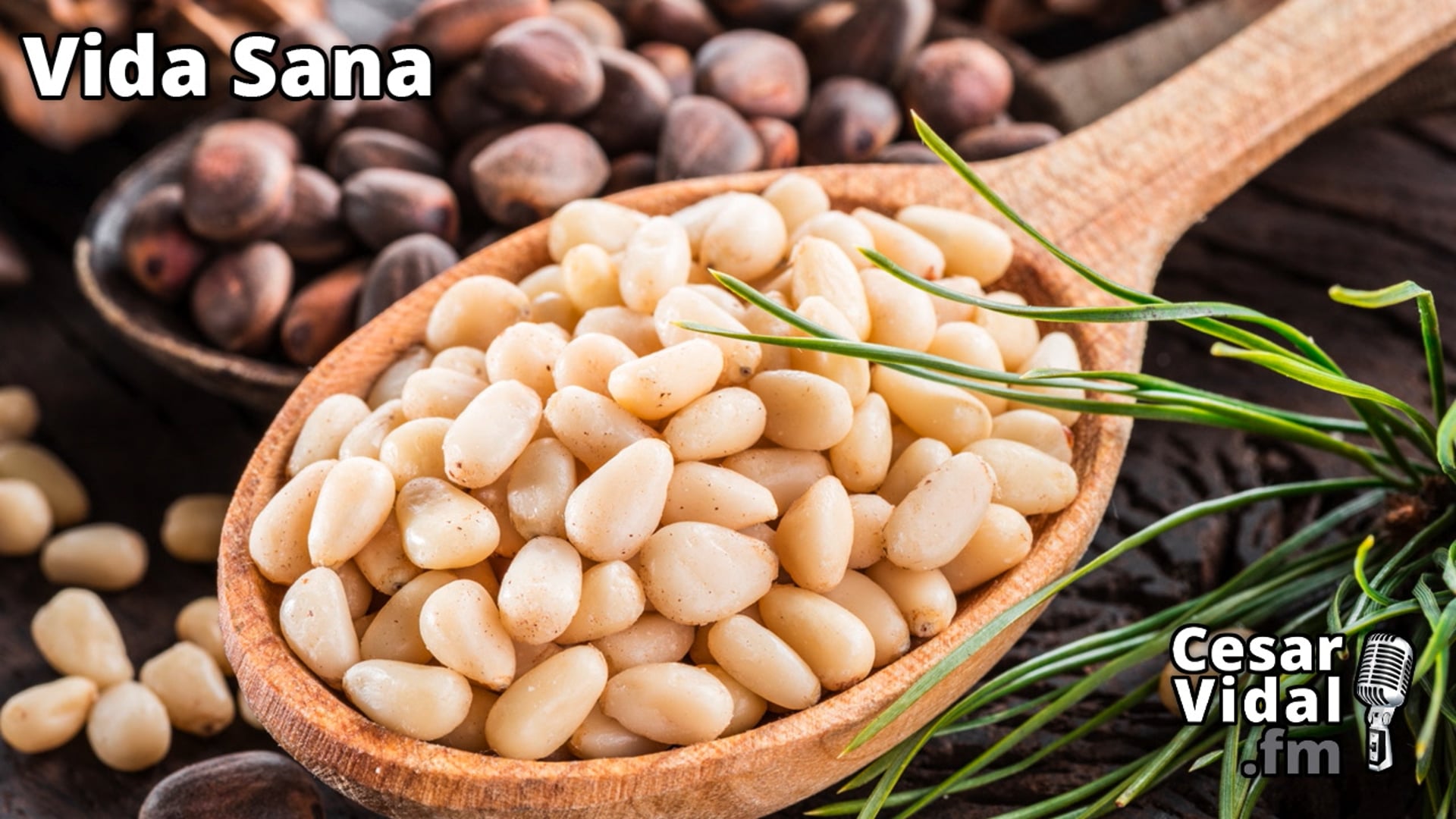 Pequeños tesoros y grandes beneficios - 13/11/24