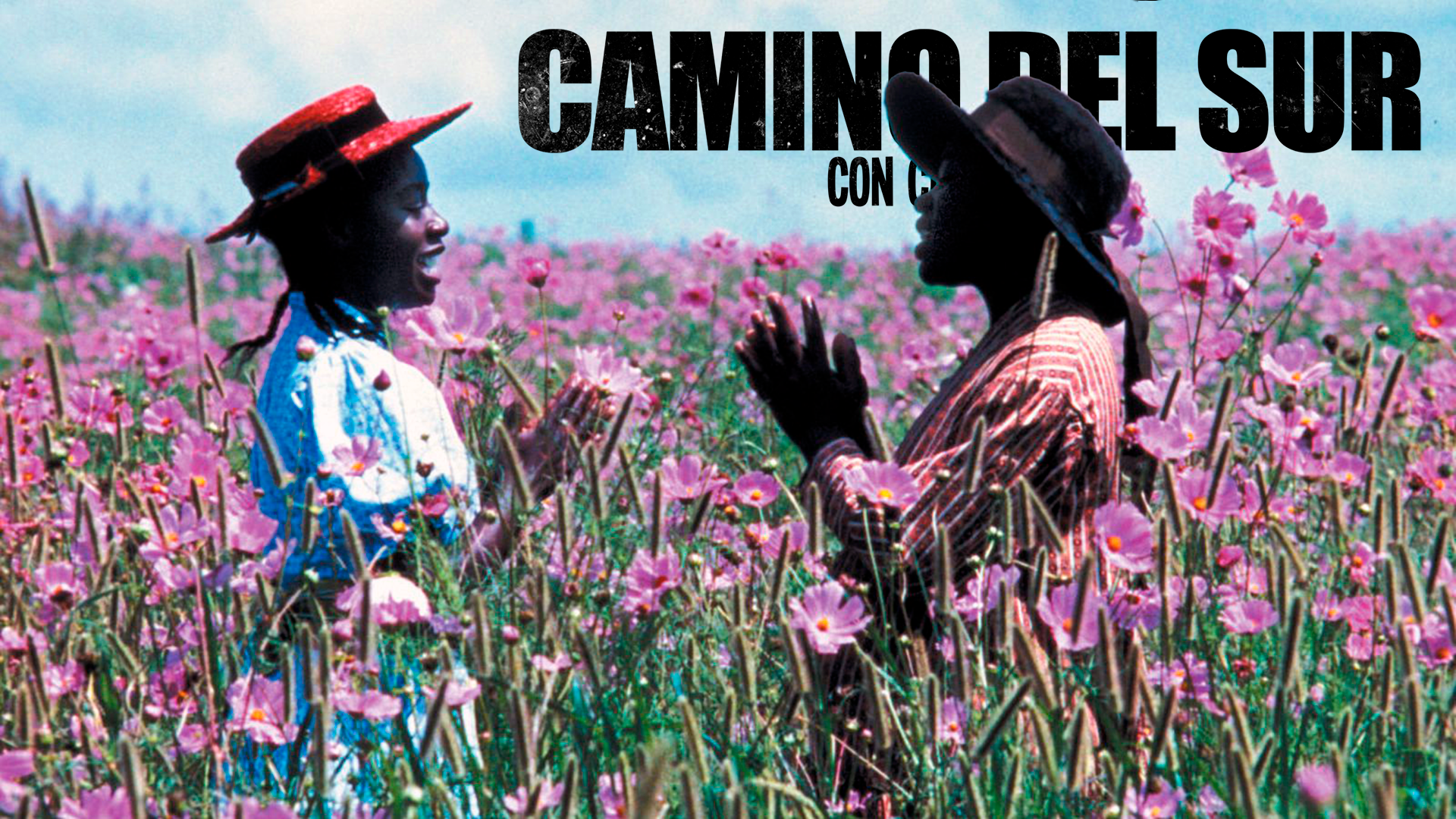 Camino del Sur - 12/12/21