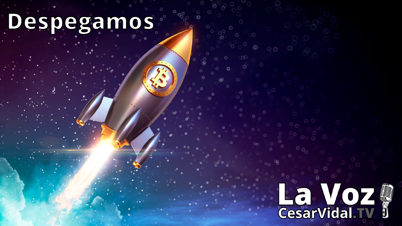 Bofetada comercial de Biden, WST abraza bitcoin y multas a hogares con asistenta