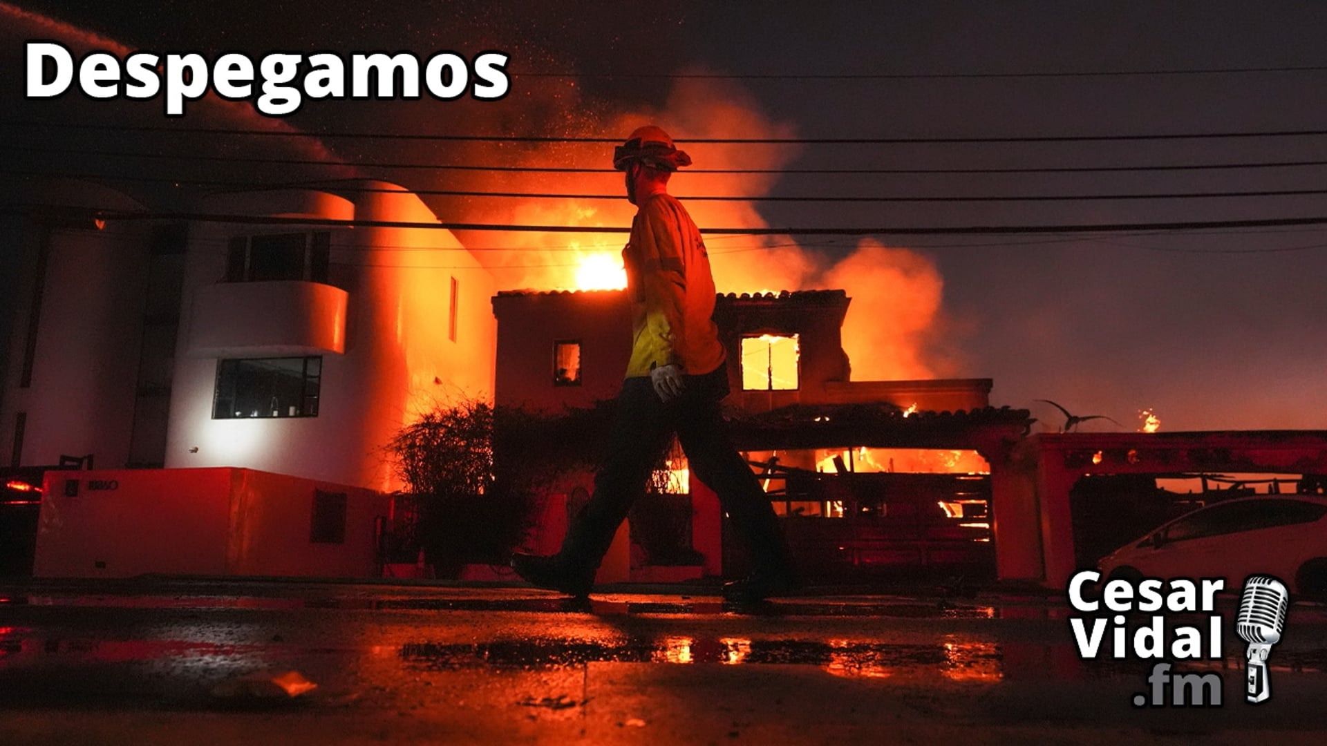 Infierno LA, combate FED-Trump, gripe aviar artificial y Franco vuelve a España