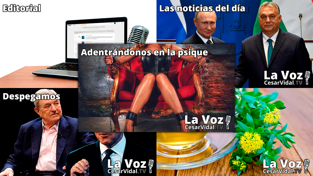 Programa Completo - 02/02/22