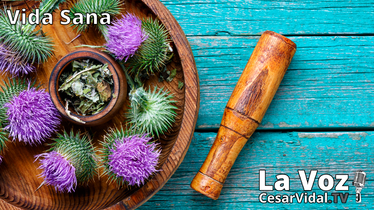 El Cardo Mariano - 16/06/21