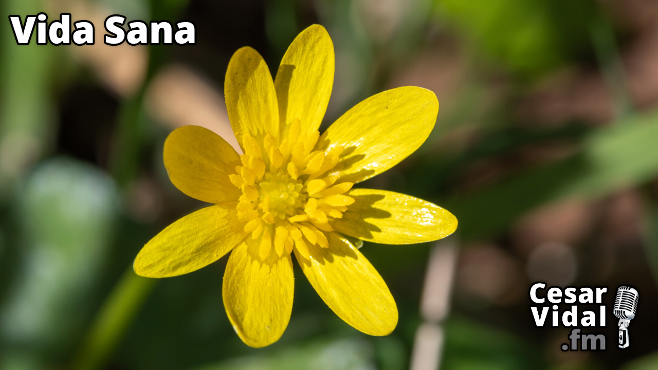 Don del cielo - 01/05/24