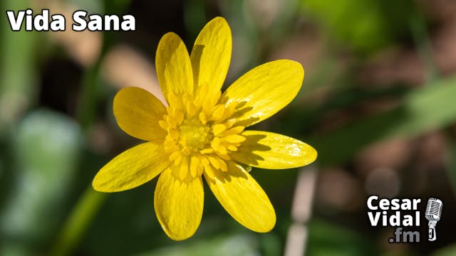 Don del cielo - 01/05/24