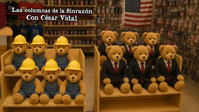 Cosas de ositos - 12/11/25