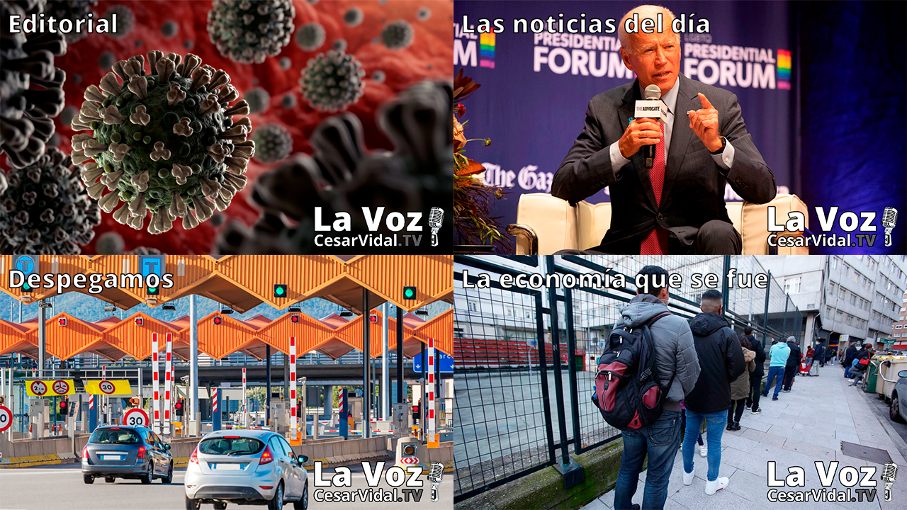 Programa Completo - 24/11/20