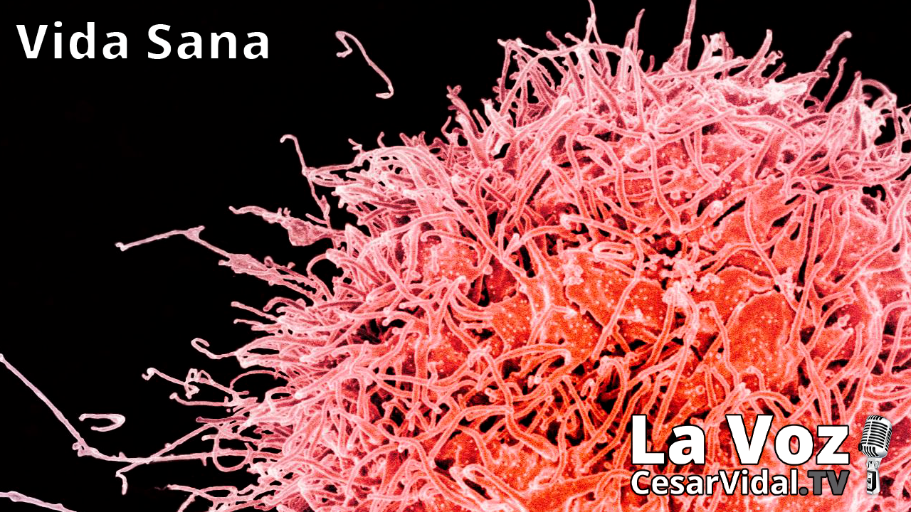 Las células Natural Killers y nuestras defensas - 04/11/20