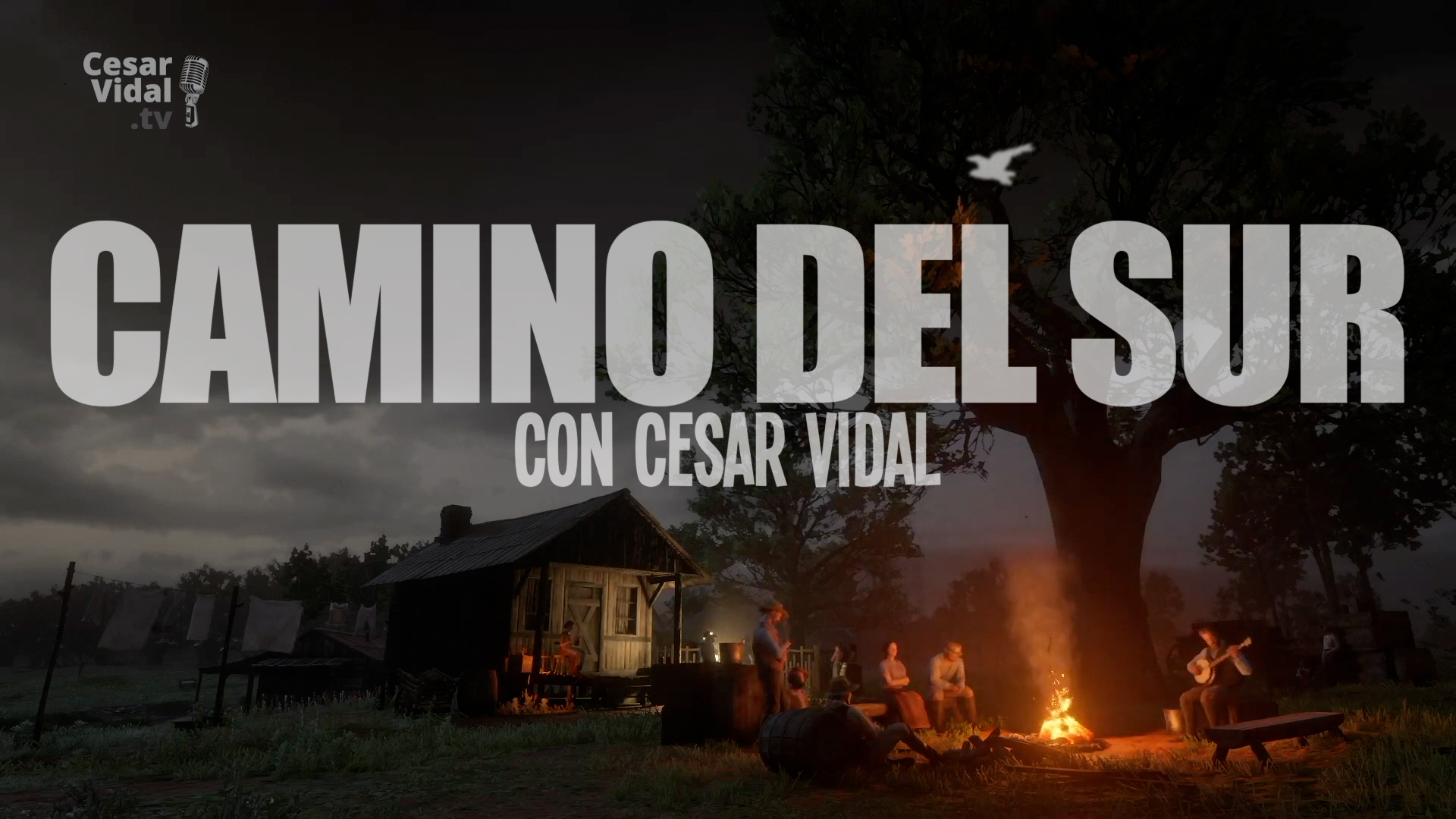 Camino del Sur - 15/11/20