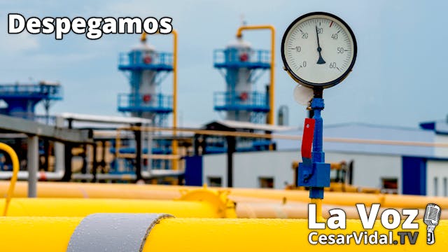 Gazprom cierra el grifo, Argelia pact...