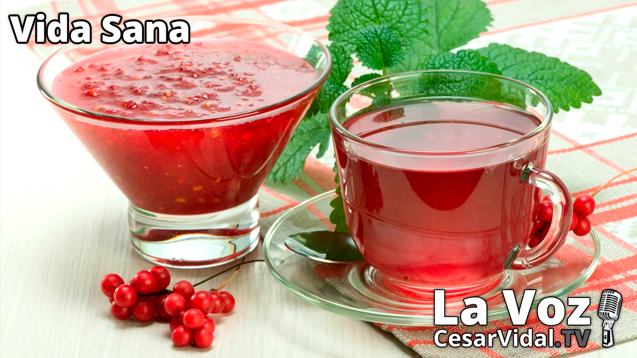 La Schizandra: Una joya escondida - 12/01/22