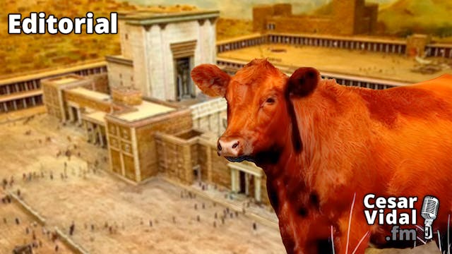 La vaca roja, el templo de Jerusalén ...