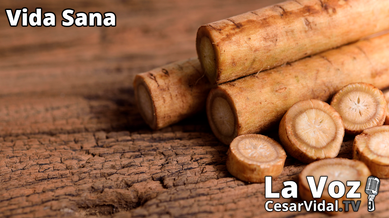 La verdura japonesa de la longevidad - 29/06/22