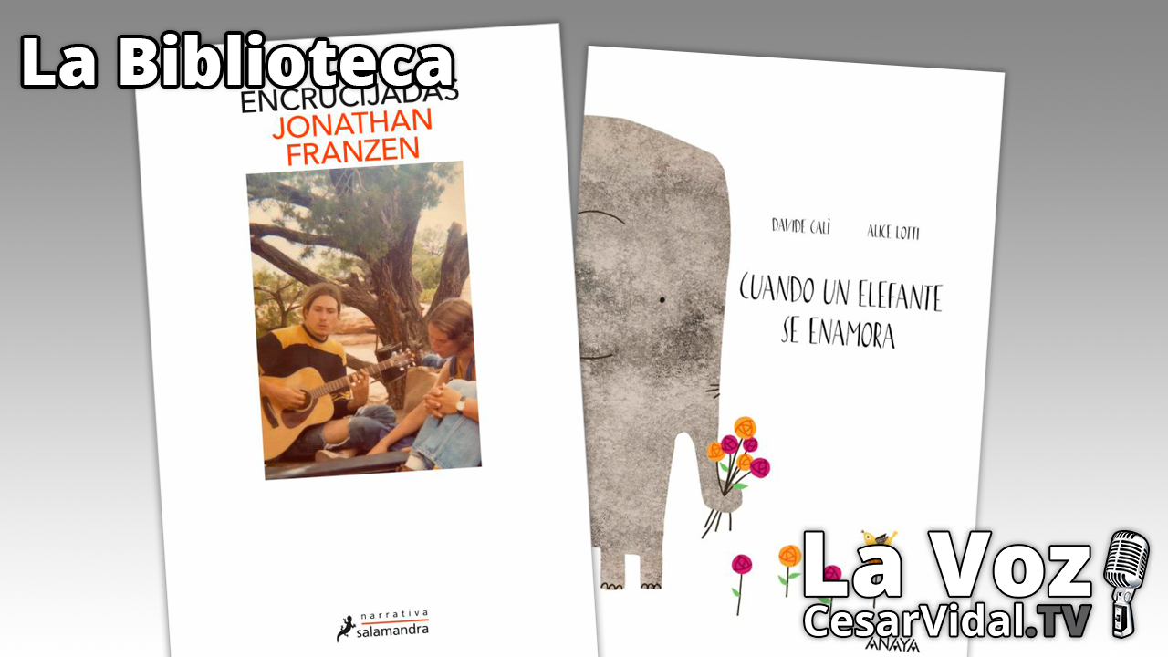 "Encrucijadas" y "Cuando un elefante se enamora" - 28/10/21