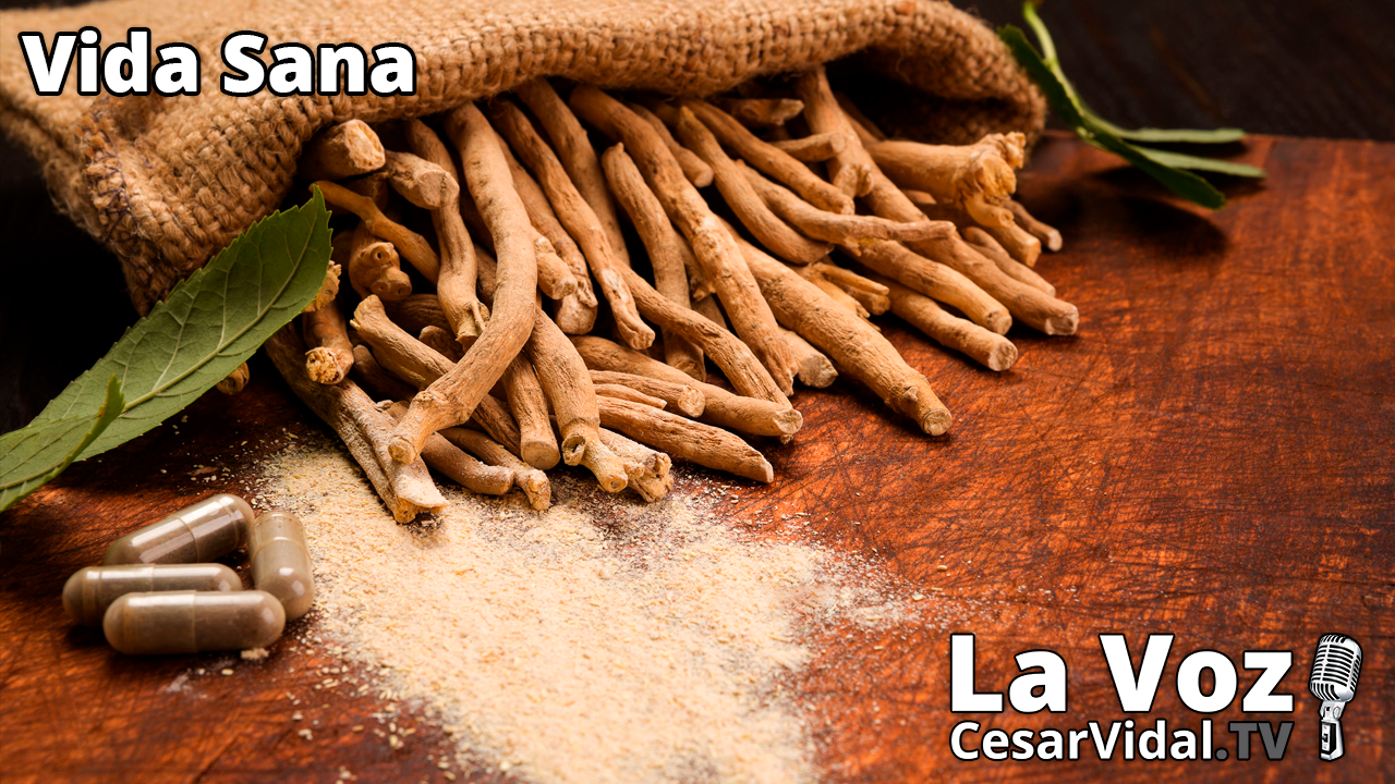 Ashwagandha: el adaptógeno más destacable de la medicina ayurvédica - 23/06/21