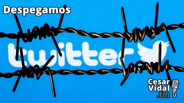 "Twitter files", redes sociales, serv...