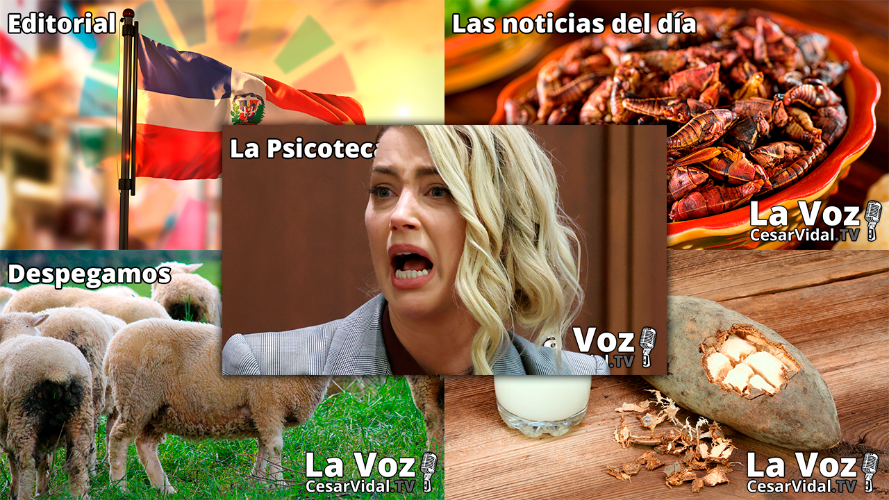 Programa Completo - 08/06/22