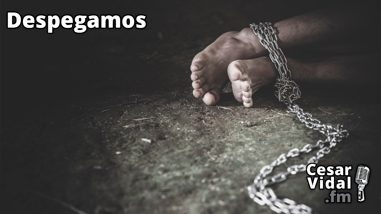 El negocio ucraniano del tráfico de órganos - 24/02/23