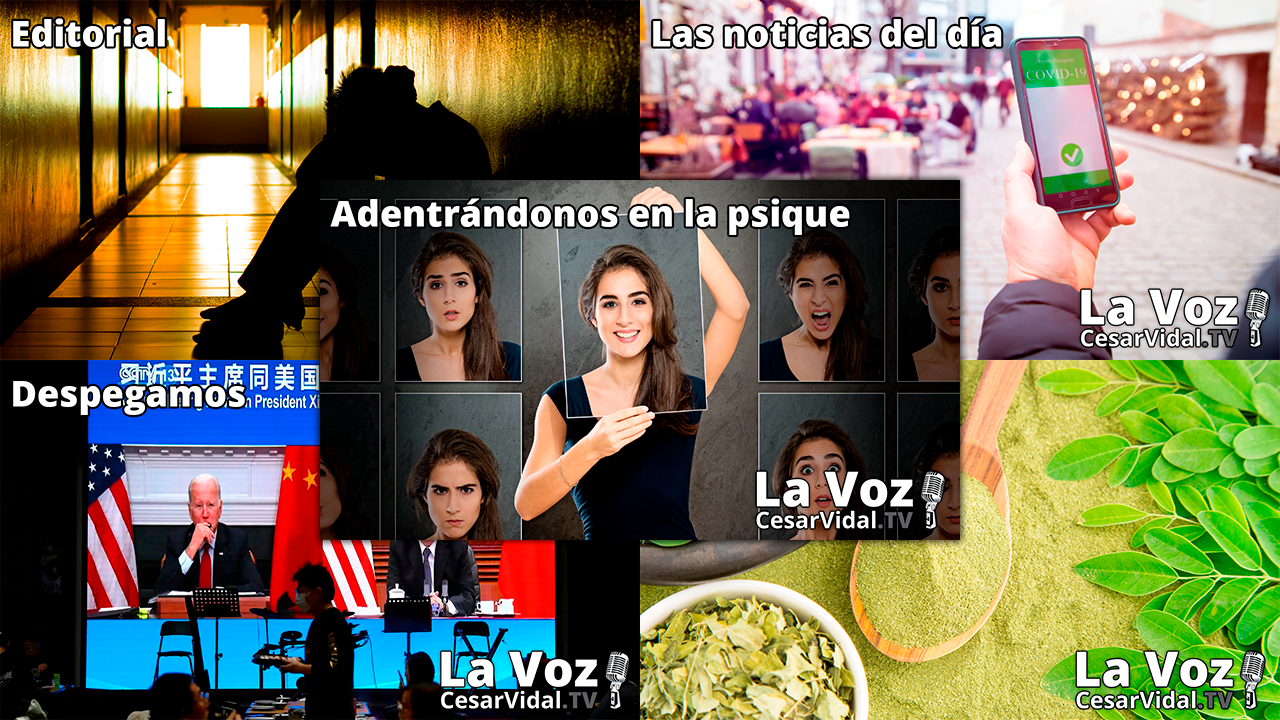 Programa Completo - 17/11/21