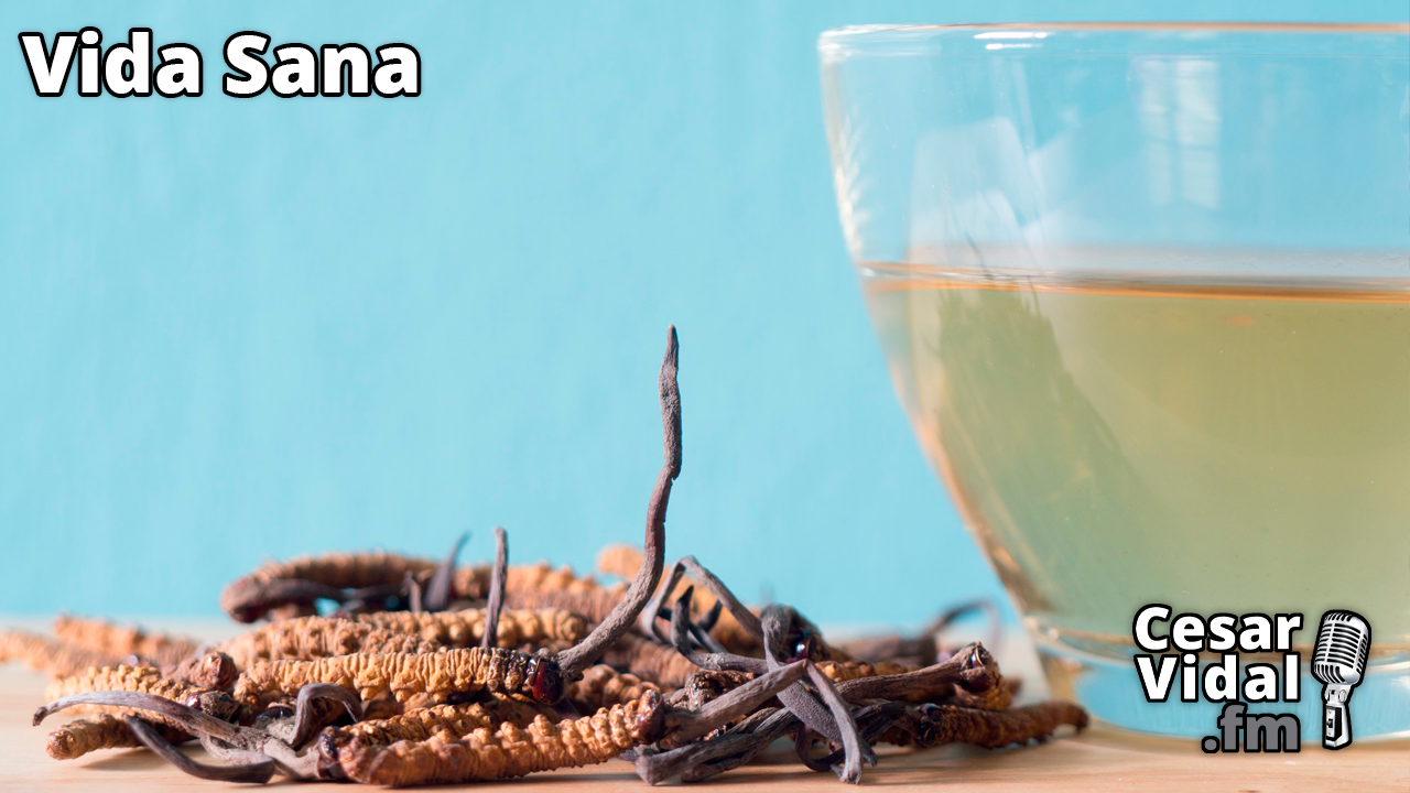 Yarsagumba, la viagra milenaria del Himalaya - 10/05/23