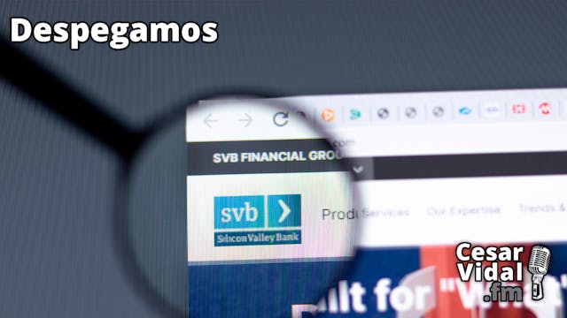 JP Morgan y Epstein, autopsia de SVB,...