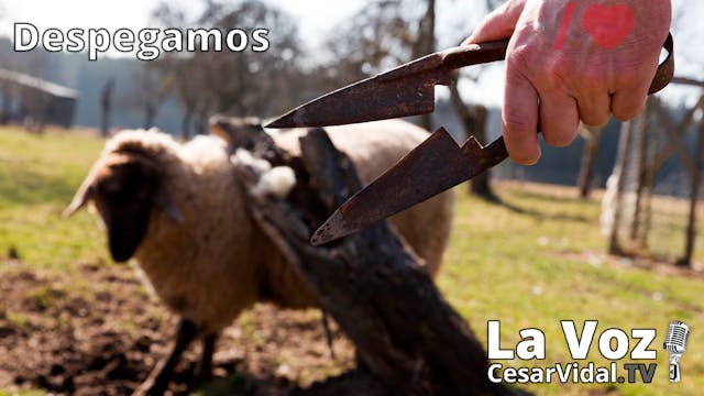 Mentiras al descubierto: las claves d...