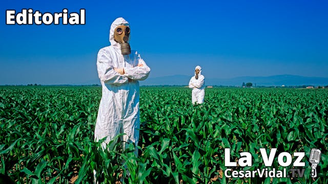 El espectro del hambre planea sobre l...