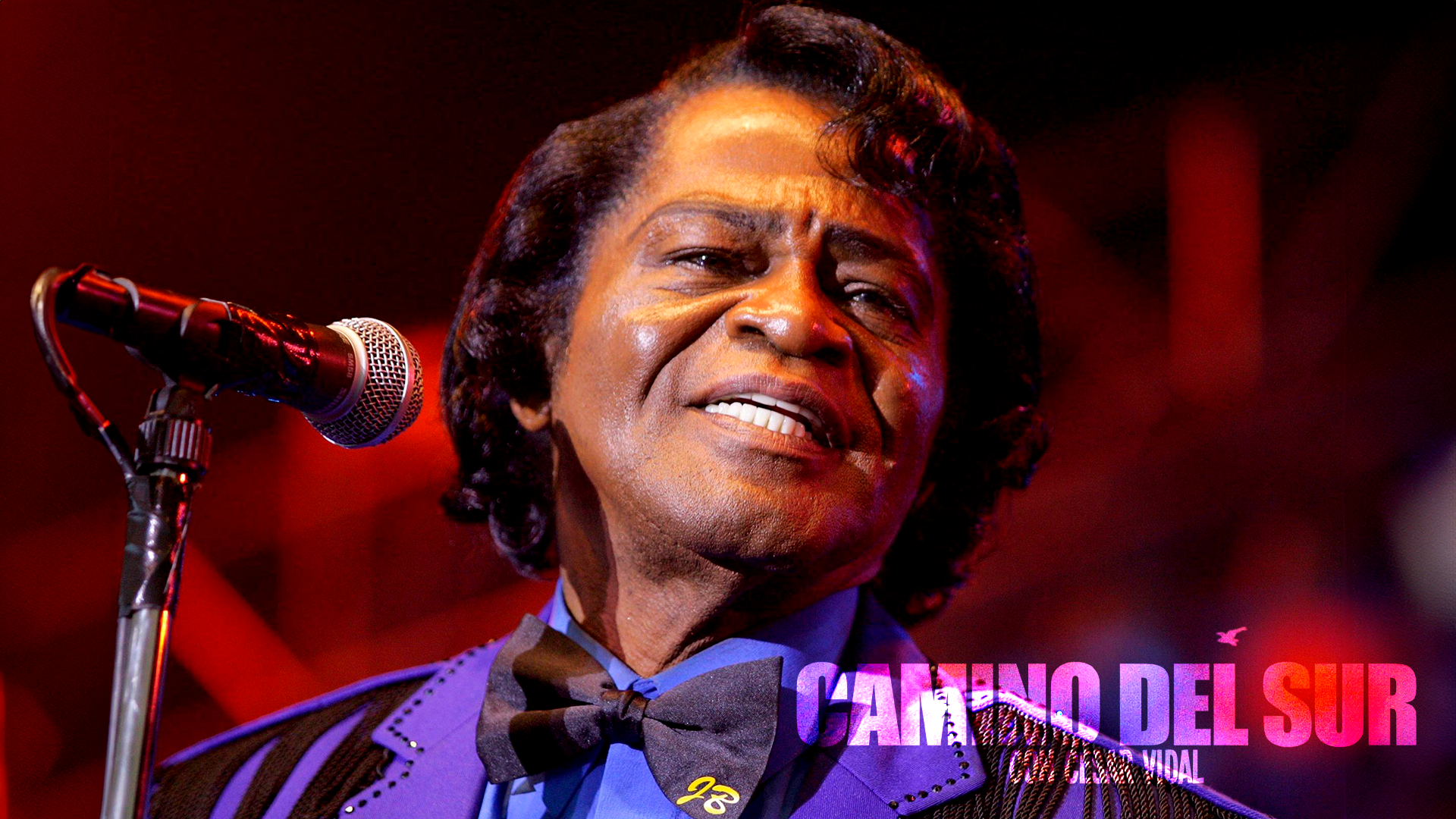 Camino del Sur - 23/06/24